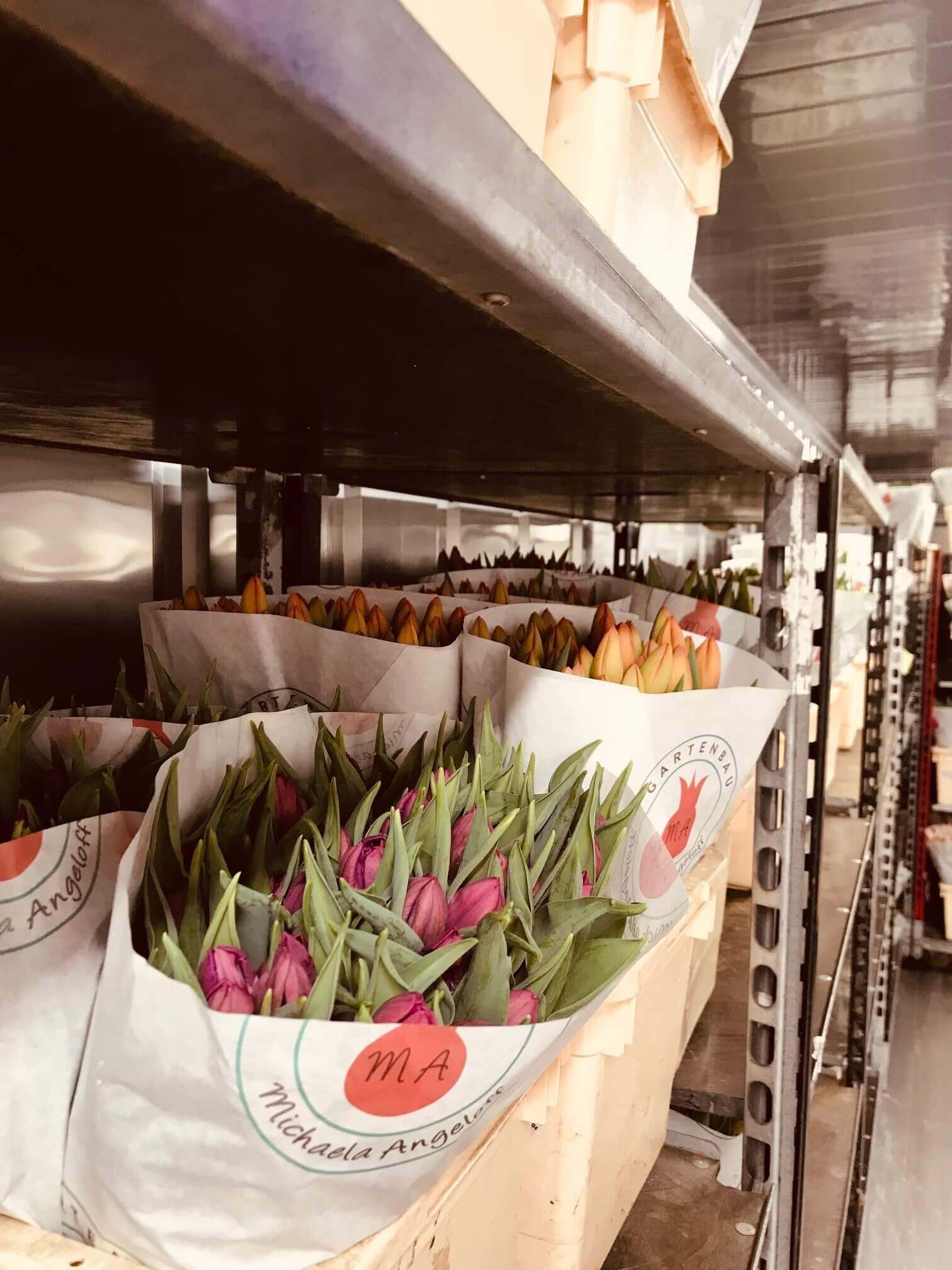 Flower Storage - TITAN Containers