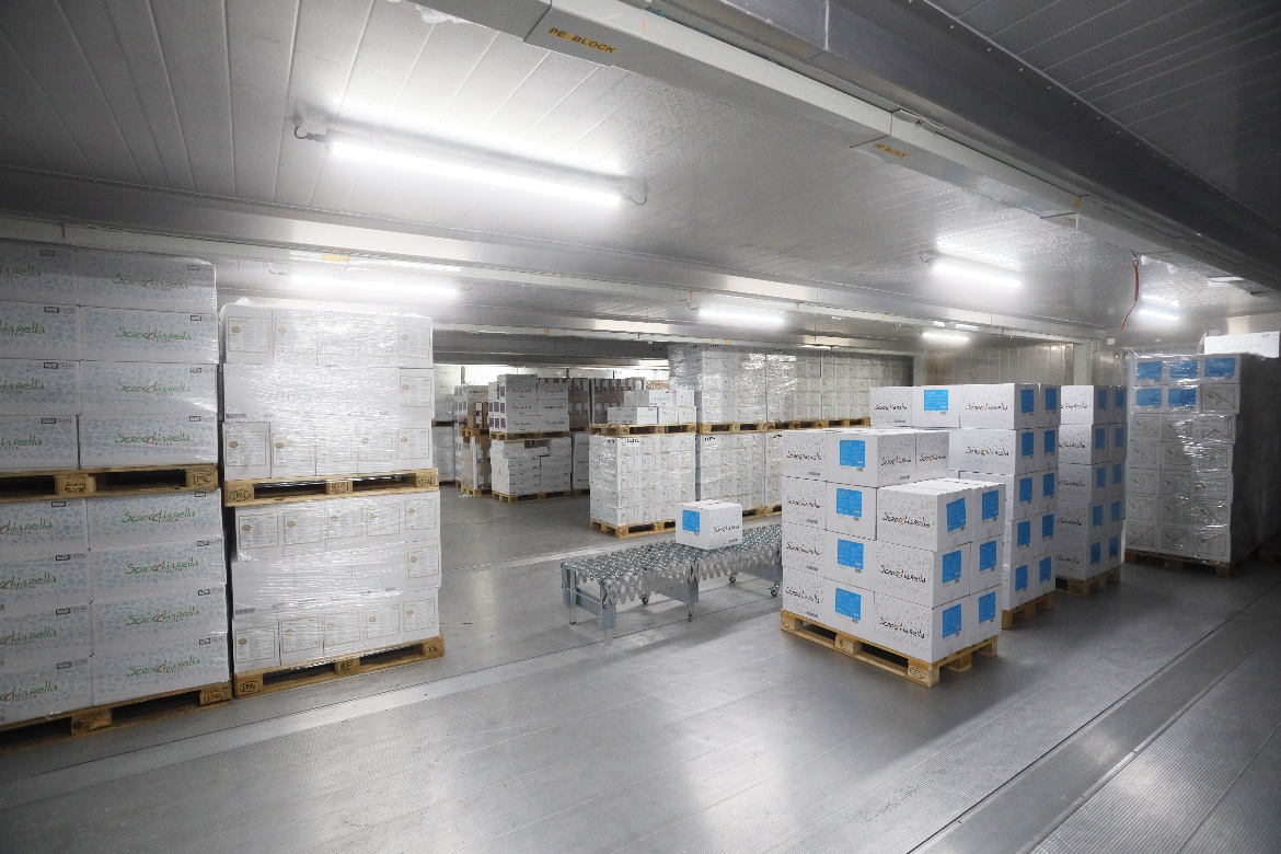 Products in Pallets - ArcticBlast Container Inside