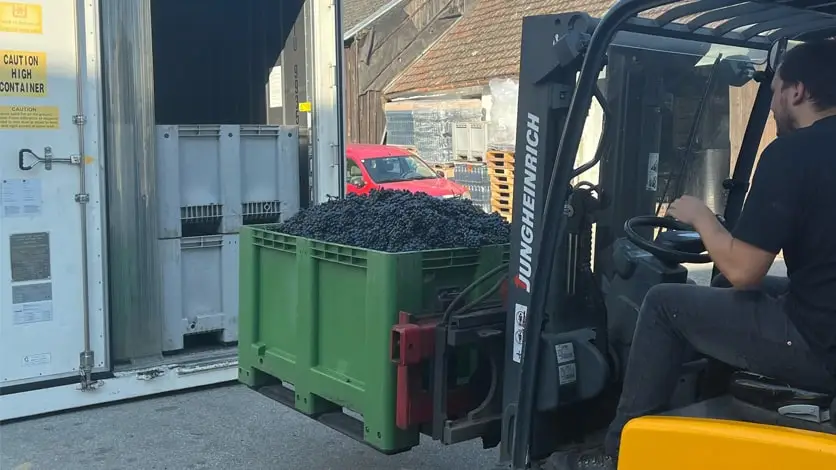 Cold Storage for Wineries